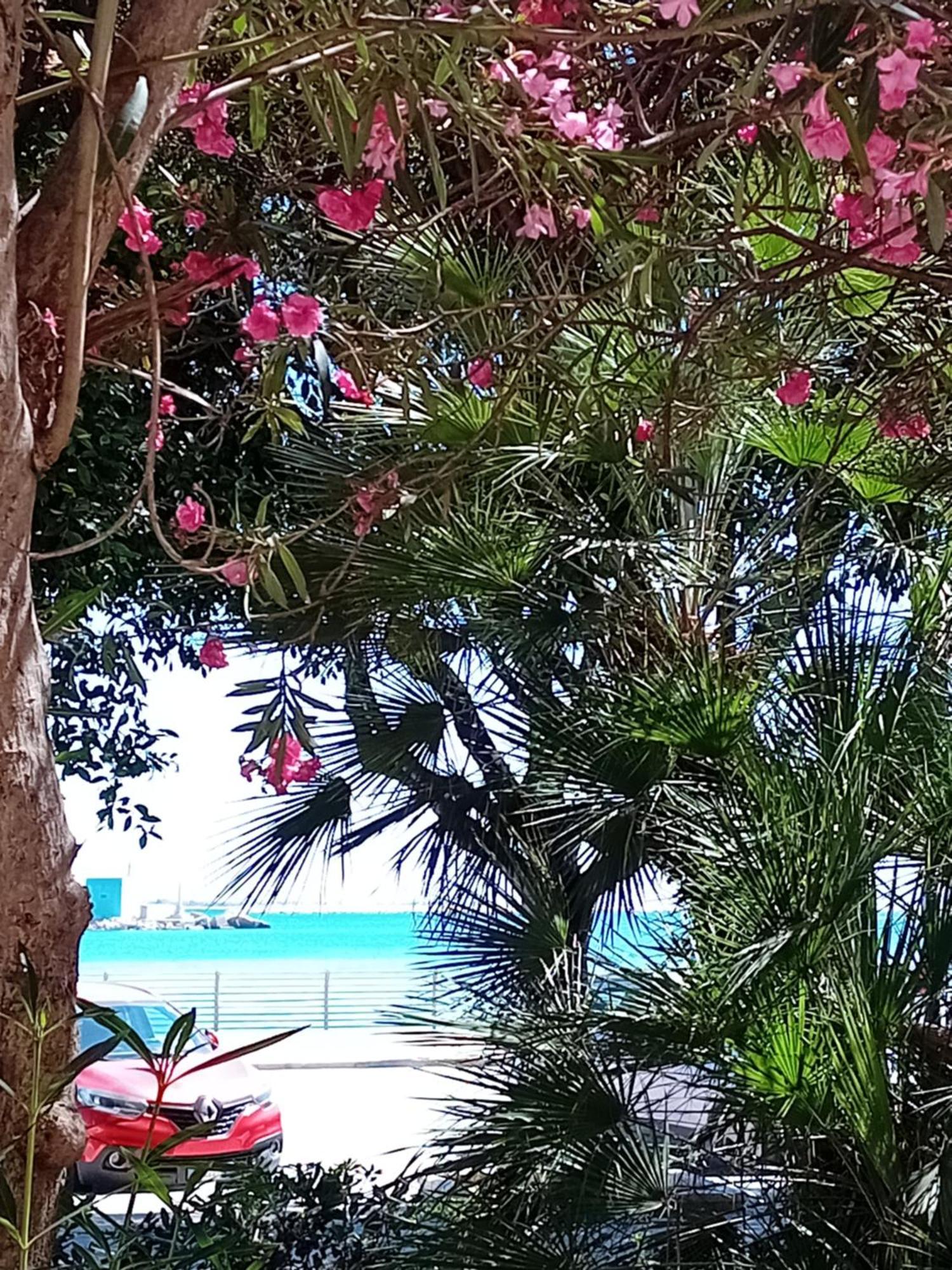 Il Cristallo Del Mare Τράπανι Εξωτερικό φωτογραφία